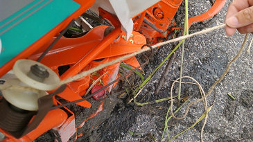 f:id:shirotofarm:20171022111515p:plain