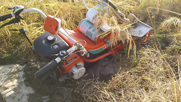 f:id:shirotofarm:20171022135659p:plain