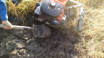 f:id:shirotofarm:20171022135857p:plain