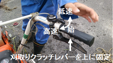 f:id:shirotofarm:20171103235833p:plain