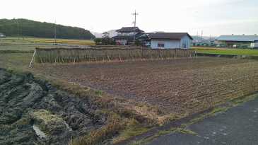 f:id:shirotofarm:20171112184449p:plain f:id:shirotofarm:20171112184449p:plain