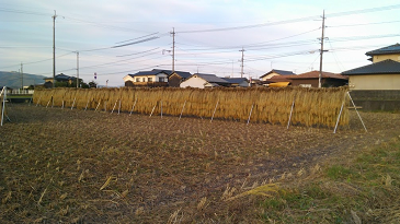 f:id:shirotofarm:20171112185650p:plain f:id:shirotofarm:20171112185650p:plain