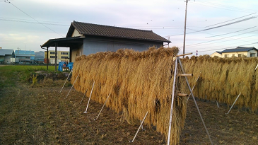 f:id:shirotofarm:20171112190413p:plain f:id:shirotofarm:20171112190413p:plain