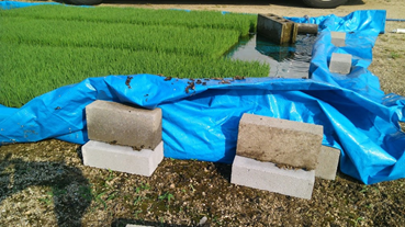 f:id:shirotofarm:20180604001058p:plain f:id:shirotofarm:20180604001058p:plain