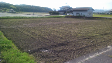 f:id:shirotofarm:20180620230148p:plain f:id:shirotofarm:20180620230148p:plain
