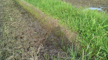 f:id:shirotofarm:20180620230635p:plain f:id:shirotofarm:20180620230635p:plain