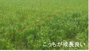 f:id:shirotofarm:20180926214202p:plain f:id:shirotofarm:20180926214202p:plain