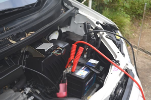 f:id:shirotofarm:20181118233702p:plain