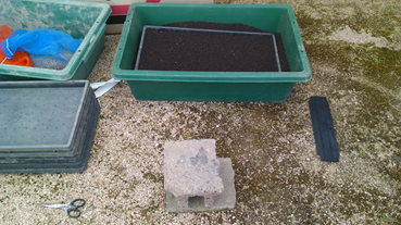 f:id:shirotofarm:20181230114807p:plain