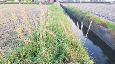 f:id:shirotofarm:20190512225254p:plain f:id:shirotofarm:20190512225254p:plain
