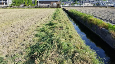 f:id:shirotofarm:20190512225330p:plain f:id:shirotofarm:20190512225330p:plain