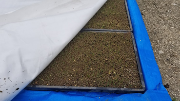 f:id:shirotofarm:20190518202738p:plain