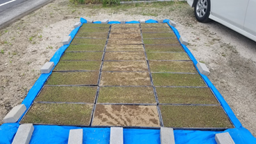 f:id:shirotofarm:20190518202858p:plain