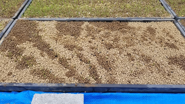 f:id:shirotofarm:20190518203132p:plain