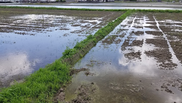 f:id:shirotofarm:20190619213110p:plain