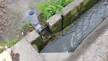 f:id:shirotofarm:20190619213537p:plain