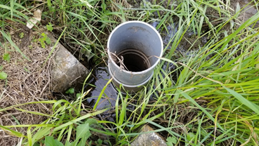 f:id:shirotofarm:20190619213612p:plain