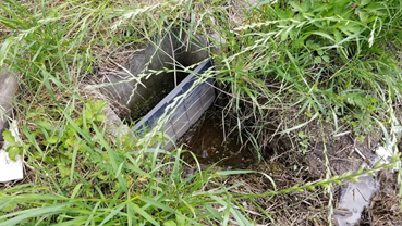 f:id:shirotofarm:20190619213633p:plain