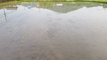 f:id:shirotofarm:20190622203135p:plain f:id:shirotofarm:20190622203135p:plain