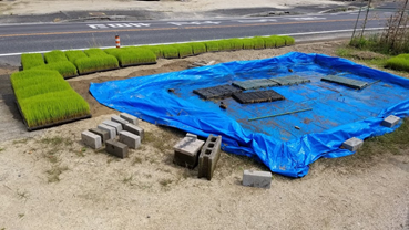 f:id:shirotofarm:20190622204032p:plain f:id:shirotofarm:20190622204032p:plain