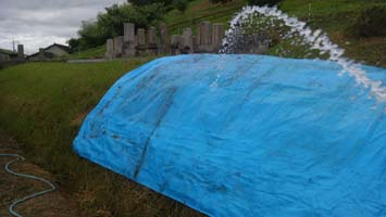 f:id:shirotofarm:20190622204427p:plain f:id:shirotofarm:20190622204427p:plain