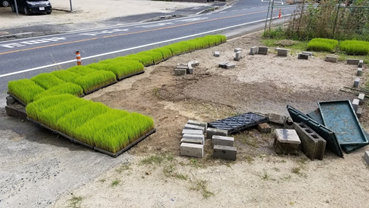 f:id:shirotofarm:20190622204448p:plain f:id:shirotofarm:20190622204448p:plain