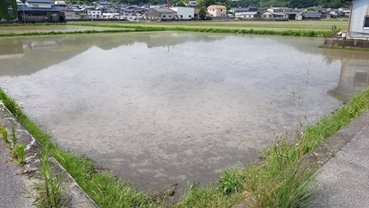 f:id:shirotofarm:20190622204849p:plain f:id:shirotofarm:20190622204849p:plain