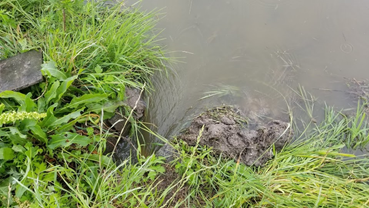 f:id:shirotofarm:20190622205004p:plain f:id:shirotofarm:20190622205004p:plain