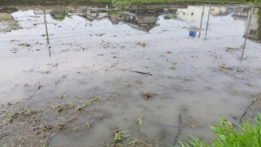 f:id:shirotofarm:20190622205145p:plain f:id:shirotofarm:20190622205145p:plain