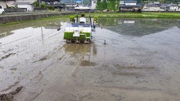 f:id:shirotofarm:20190622205347p:plain f:id:shirotofarm:20190622205347p:plain