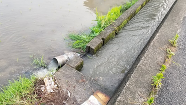 f:id:shirotofarm:20190622210538p:plain f:id:shirotofarm:20190622210538p:plain