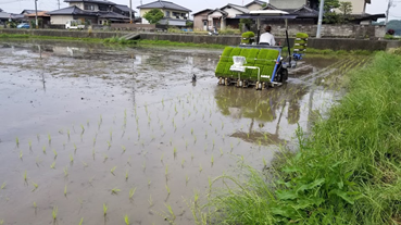 f:id:shirotofarm:20190622211254p:plain f:id:shirotofarm:20190622211254p:plain