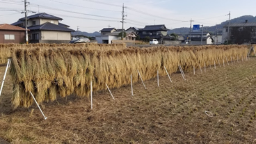 f:id:shirotofarm:20191113190913p:plain f:id:shirotofarm:20191113190913p:plain