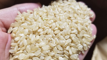 f:id:shirotofarm:20191201194825p:plain