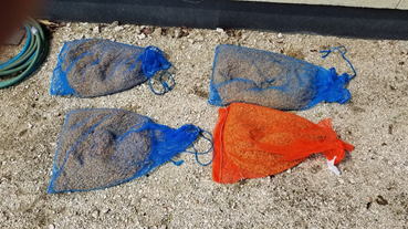 f:id:shirotofarm:20200511184327p:plain