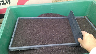 f:id:shirotofarm:20200511184935p:plain