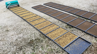 f:id:shirotofarm:20200511190104p:plain