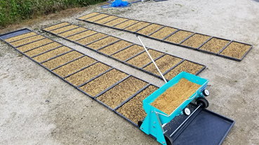 f:id:shirotofarm:20200511190140p:plain