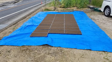 f:id:shirotofarm:20200511190656p:plain