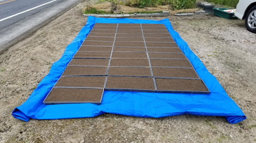 f:id:shirotofarm:20200511191610p:plain