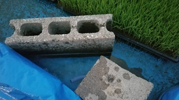 f:id:shirotofarm:20200530211922p:plain