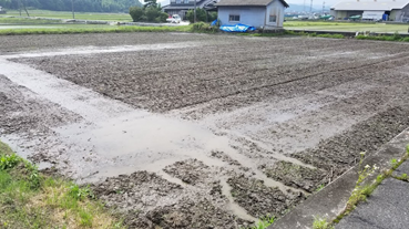 f:id:shirotofarm:20200618185948p:plain f:id:shirotofarm:20200618185948p:plain