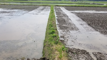 f:id:shirotofarm:20200618190023p:plain f:id:shirotofarm:20200618190023p:plain