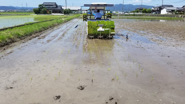 f:id:shirotofarm:20200621212551p:plain f:id:shirotofarm:20200621212551p:plain