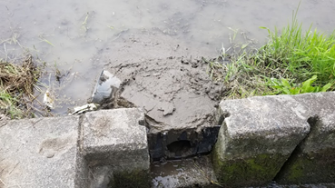 f:id:shirotofarm:20200621213235p:plain f:id:shirotofarm:20200621213235p:plain