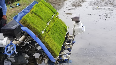 f:id:shirotofarm:20200621215427p:plain f:id:shirotofarm:20200621215427p:plain