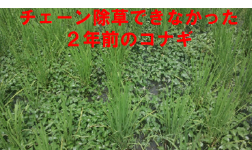 f:id:shirotofarm:20200724183219p:plain