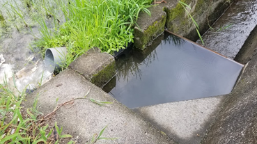 f:id:shirotofarm:20200724184002p:plain