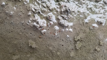 f:id:shirotofarm:20200801075253p:plain