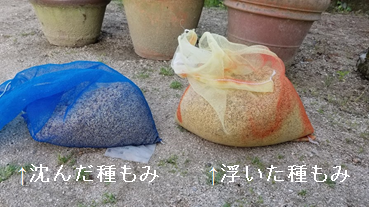 f:id:shirotofarm:20210513200553p:plain